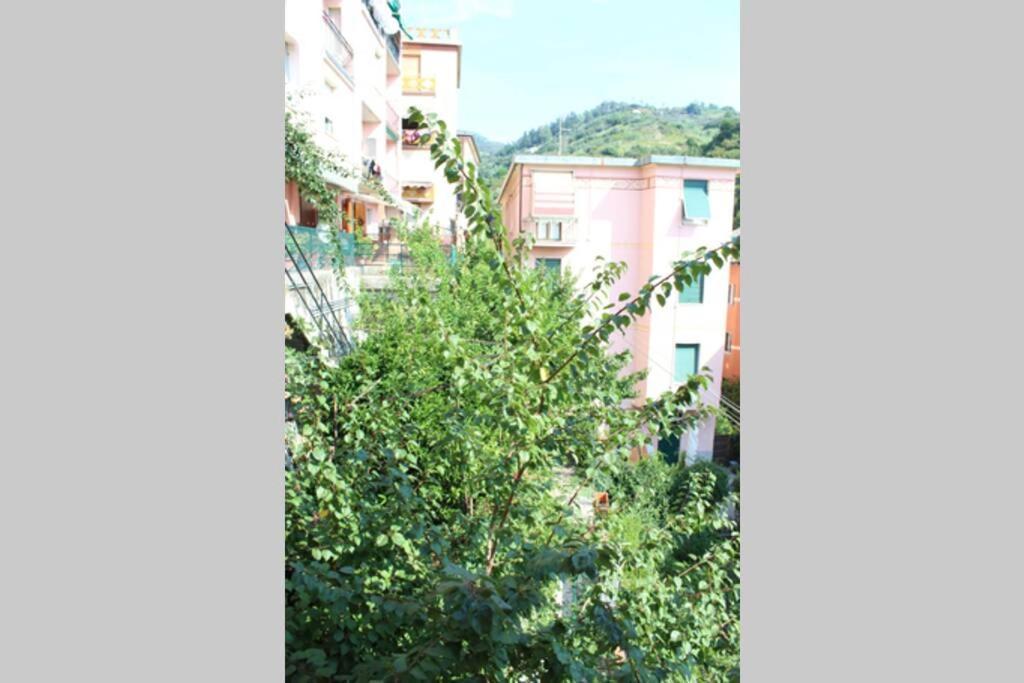 Ca Du Rocco - Citra 011019-Lt-0343 Apartamento Monterosso al Mare Exterior foto